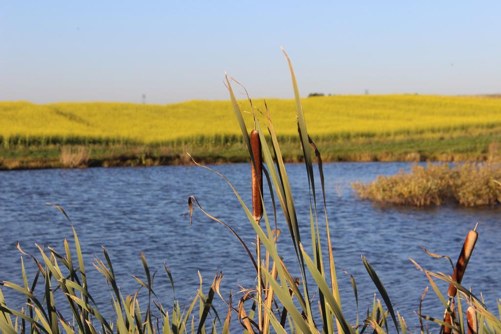 Agro Nad Stawem Βίλα Żukowo Εξωτερικό φωτογραφία